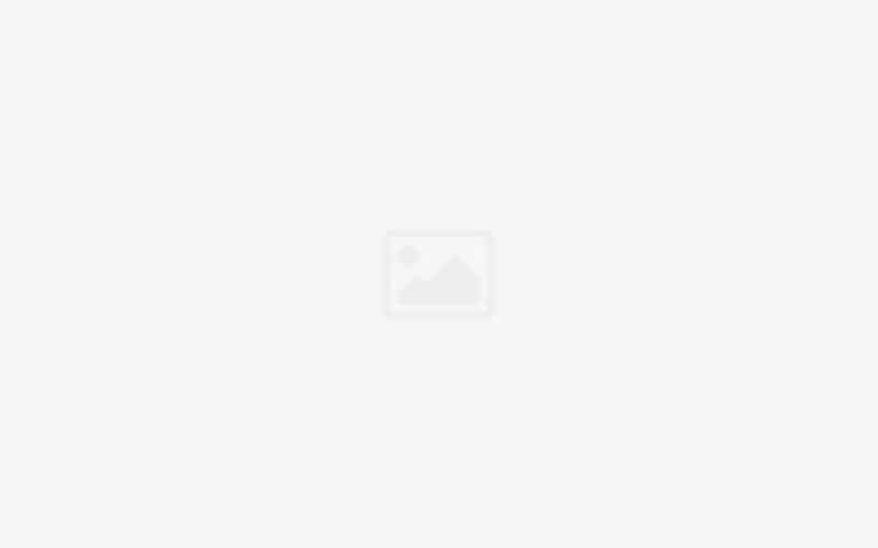 Ақмола облысы әкімінің үкіметтік емес ұйымдарға арналған  «Қамқор 2020» сыйлықақысын тағайындау туралы  ЕРЕЖЕ