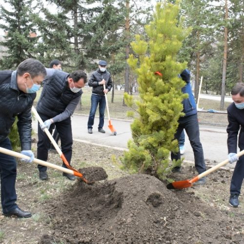 Облыс тұрғындары «Бірге таза Қазақстан» акциясына қатысты