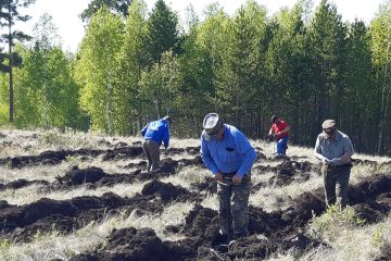 Ормандарымызды қорғап, молайту – әрбір ұрпақ парызы  