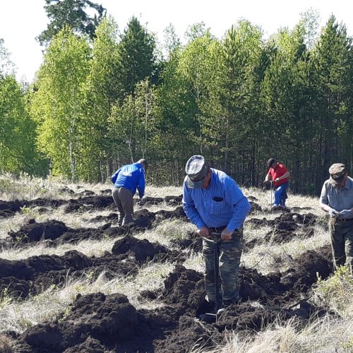 Ормандарымызды қорғап, молайту – әрбір ұрпақ парызы  