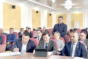 Макинск қаласын дамыту мәселесі талқыланды