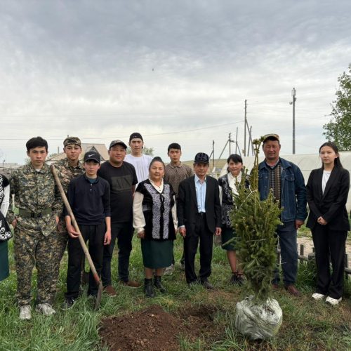 Қадырбек ағаның шыршалары деп айта жүреміз
