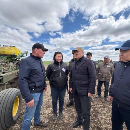 Көктемгі дала жұмыстары өрмек жүзінен ауып барады