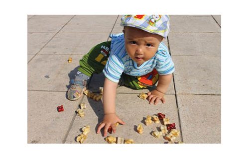 Жолаушының қамшысы