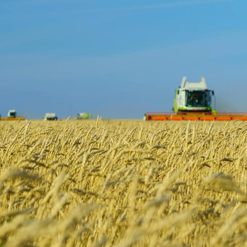 Ырыздық бастауы – алқапта