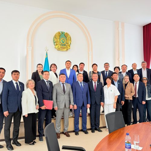 Мәслихат депутаттарын да ойландыратын тұстар көп