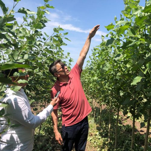 Жекеменшік тәлімбақтың үлкені де мәндісі