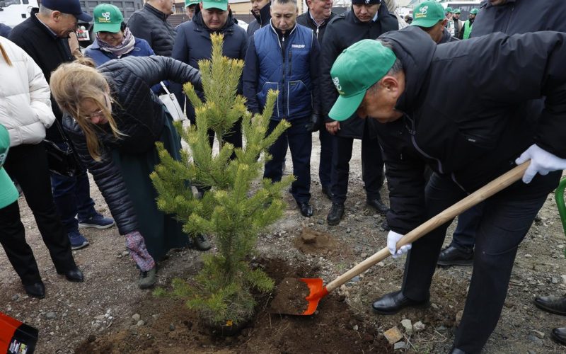 Ақмола облысының тұрғындары «Таза Қазақстан» акциясы аясында 100 мың шаршы метрден астам аумақты тазартты