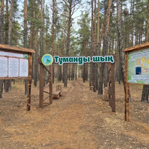 Көрікті Бурабай баурайы жаңарып жатыр