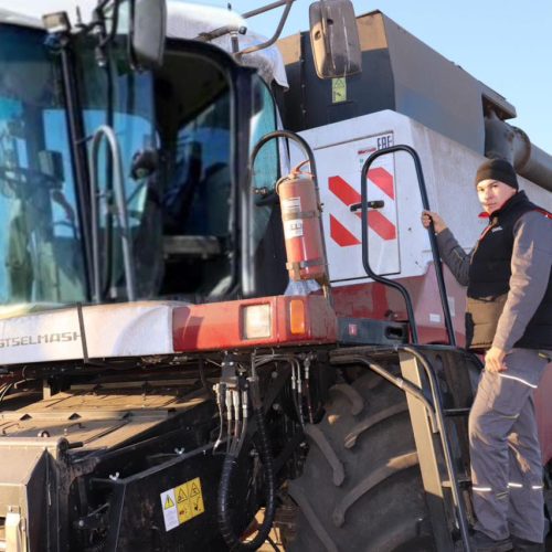 Ерен еңбекті Диас