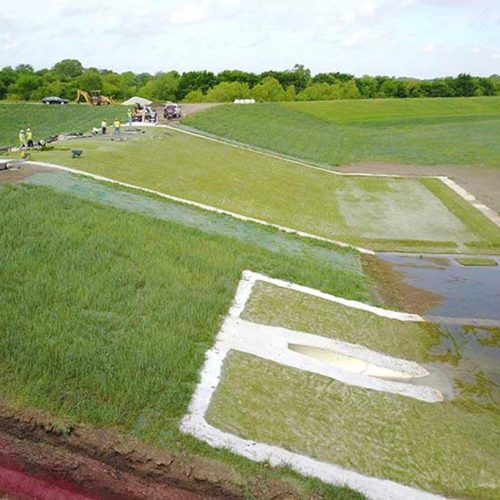 Бүгіннің «бас ауруы»