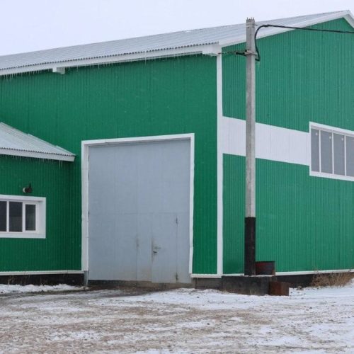 Таңданбаңыз! Фермада – робот-сауыншылар.