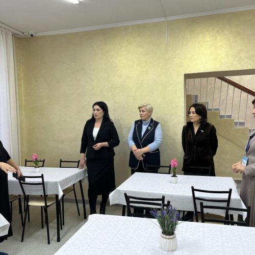 Мәжіліс депутаттары Көкшетаудағы аутизммен ауыратын балаларды қолдау орталығының жұмысымен танысты