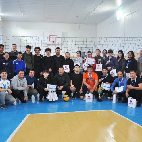 Ата-аналардың волейбол жарысы