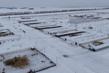 Тұрақты даму жолындағы серпін