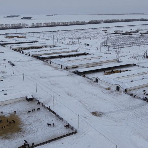 Тұрақты даму жолындағы серпін