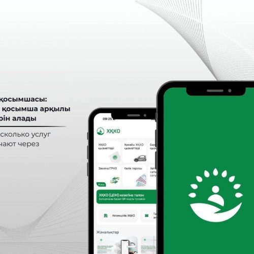 «ЦОН» мобильді қосымшасы: қазақстандықтар қосымша арқылы қанша қызмет түрін алады