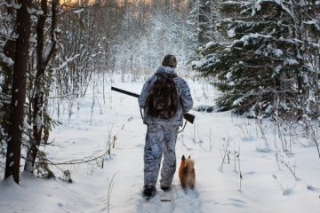 Елік атқаны үшін сотталды