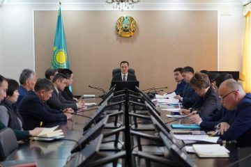 Өнеркәсіпті дамыту мәселелері қаралды