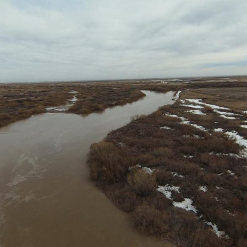 Жібек жолы ауылында  тасқыны сулар қауіпсіз өтуде