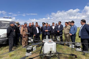 Шегірткелер шеруінен қауіп қашанда сейілмейді