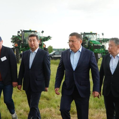 Үкіметтің қолдауымен биыл да бітік өнімнен үміт мол