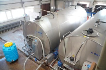 Тауарлы-сүт фермасында тәулігіне 34 тонна сүт өндіріледі