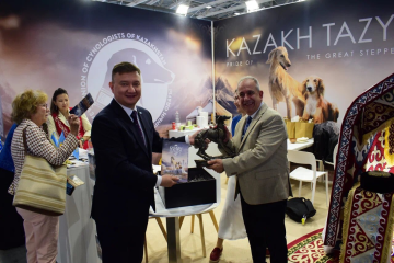Қазақы тазы Болоньяда өткен World Dog Show 2026 көрмесінде салтанатты түрде таныстырылды
