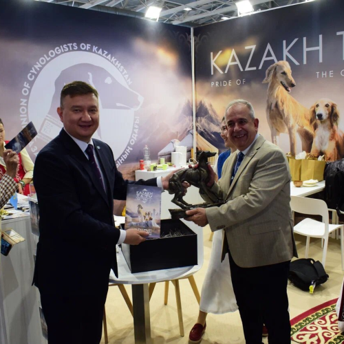 Қазақы тазы Болоньяда өткен World Dog Show 2026 көрмесінде салтанатты түрде таныстырылды
