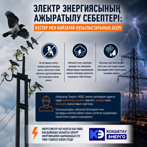 Электр қуатының өшу себептеріне құстар мен найзағайдың әсері