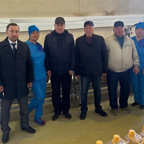 Шалғай ауылдың шырайын келтірген әкелі-балалы Комбатыровтар