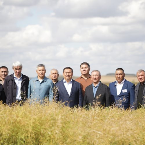 Өсірілген астықты шашпай-төкпей жинап алу – бүгінгі күннің басты міндеті
