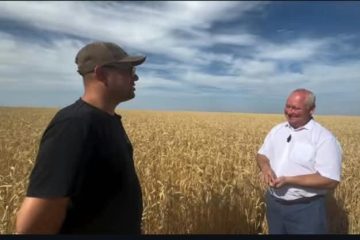 Әкім бір сәт қызығып кетіп, комбайнға отырды
