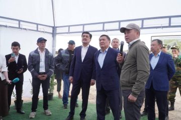 Арқа өңірін жасыл желекке бөлейтін серпінді жоба