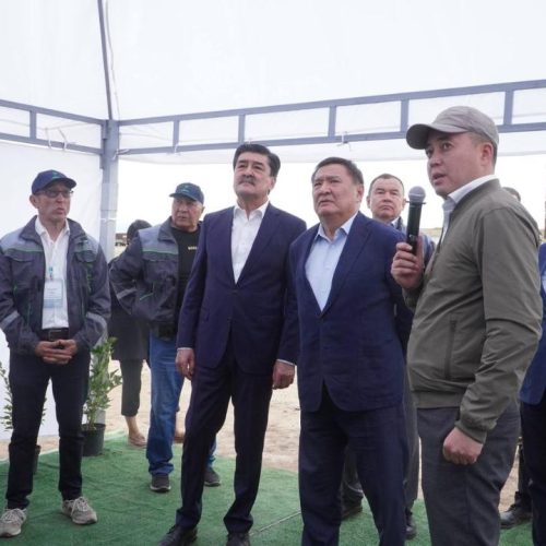 Арқа өңірін жасыл желекке бөлейтін серпінді жоба