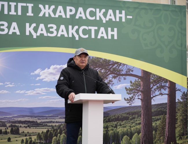 Көкшетаудағы жаңа саябаққа «Таза Қазақстан» акциясы аясында 80 көшет отырғызылды