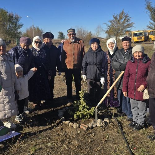 Республика күні қарсаңында Жарқайың ауданында 1000-нан астам көшет отырғызылды