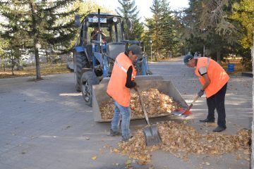 Күз келіп, жапырақтар қалықтады