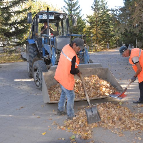 Күз келіп, жапырақтар қалықтады